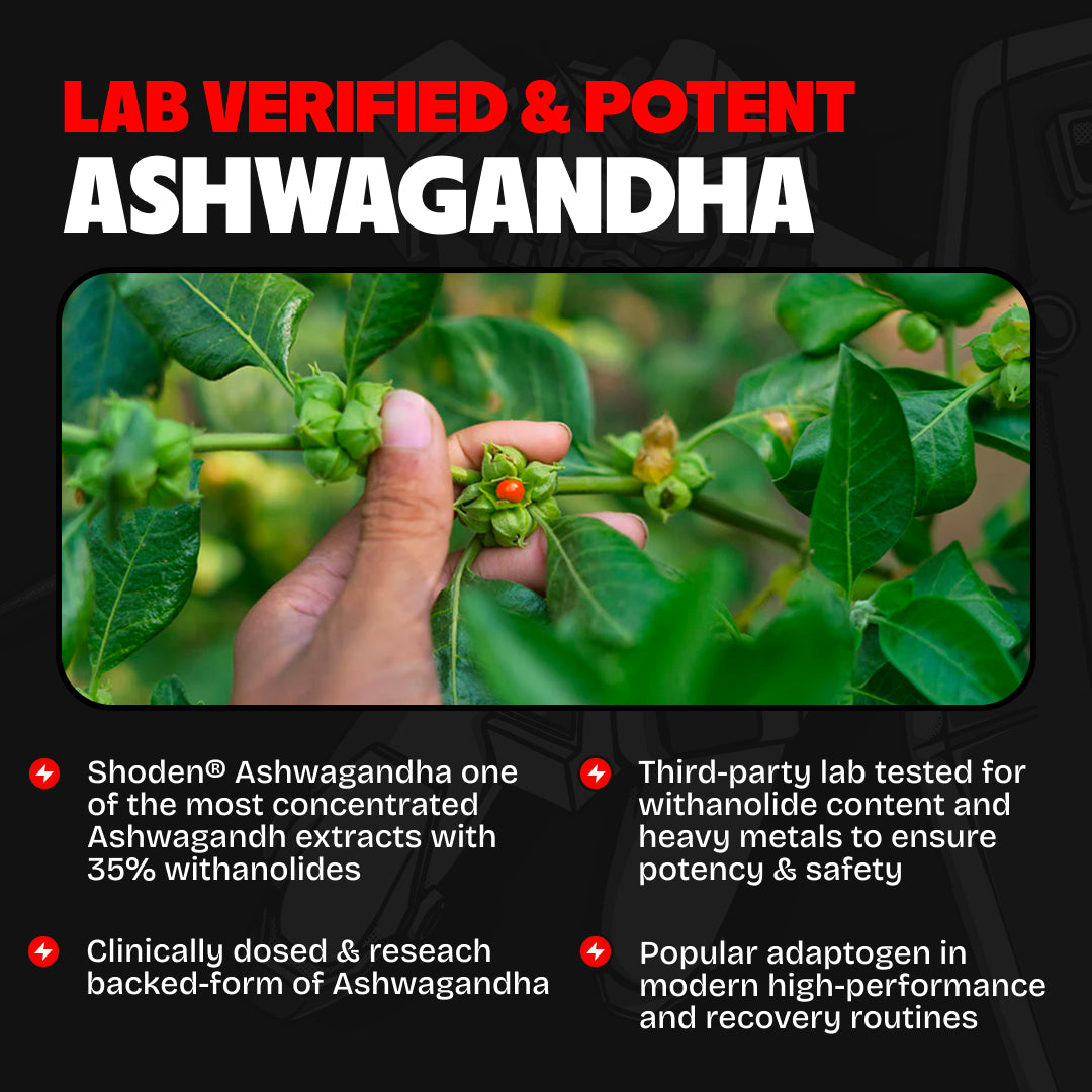 Shoden® Ashwagandha
