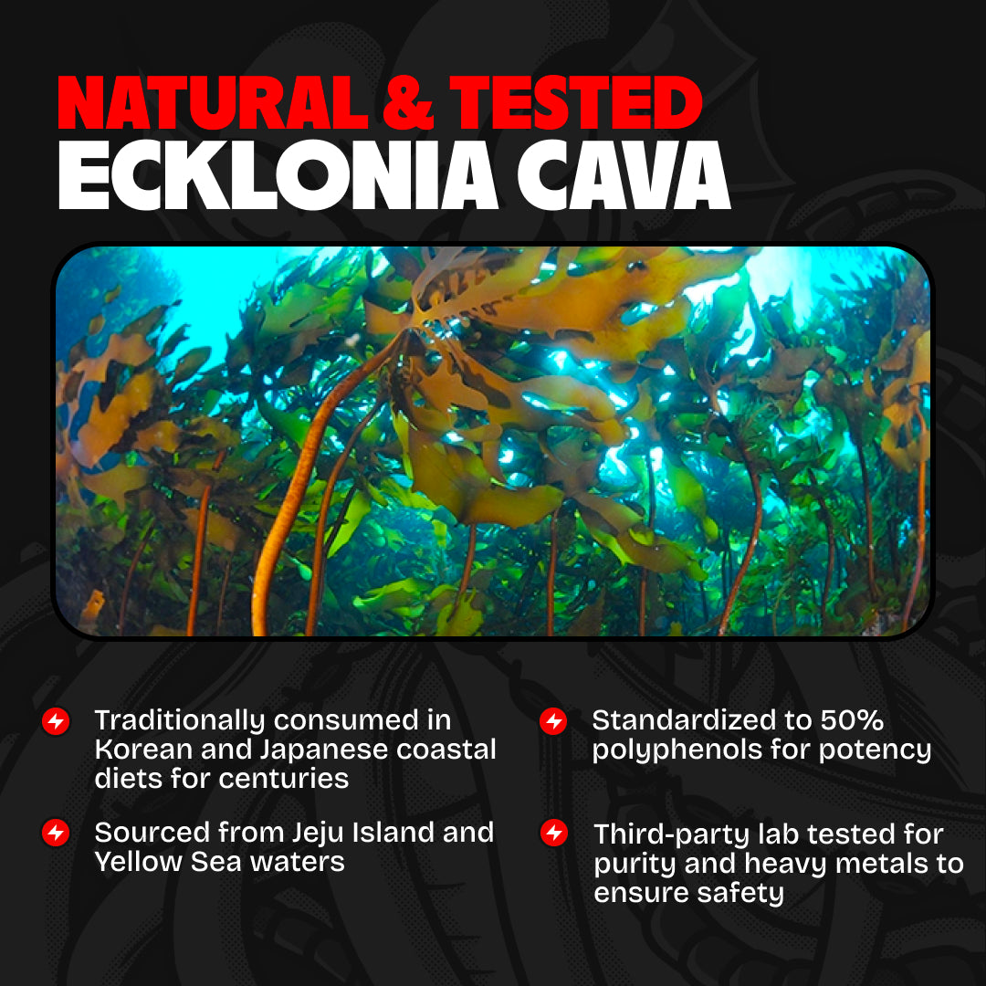 Ecklonia Cava