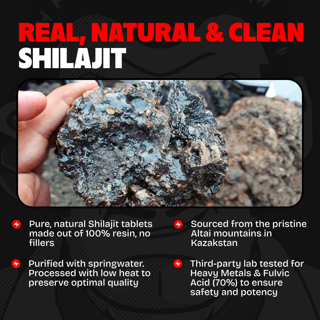 Shilajit Tablets